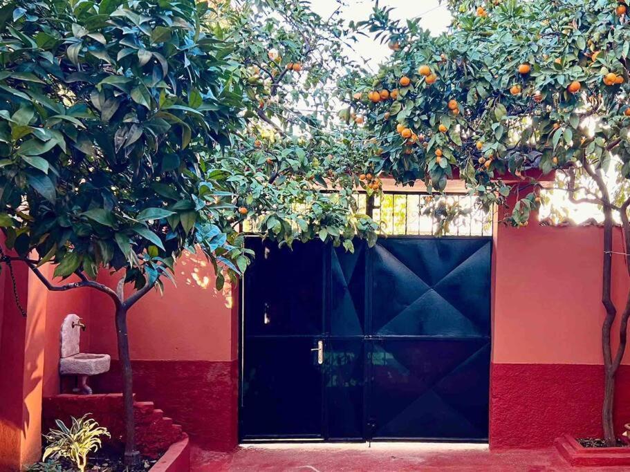Zarlett House, Pazari Ri ,Villa With Garden,Parking 티라나 외부 사진